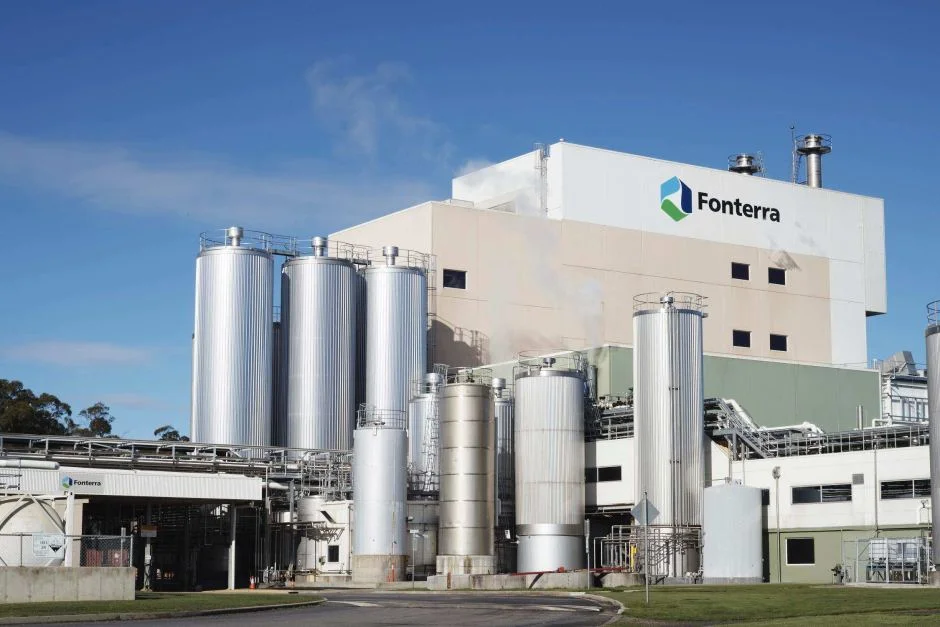 Couple supplying Fonterra grow more potatoes to cut losses.