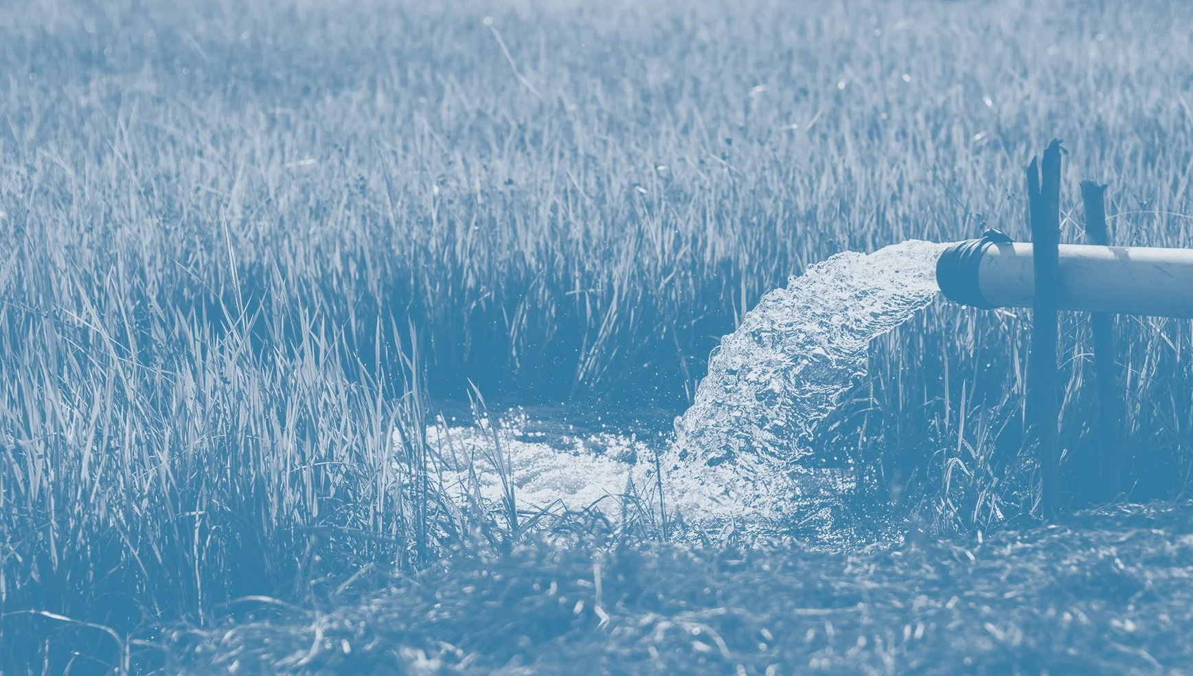 water_pipe_rice-field-duotone.jpg