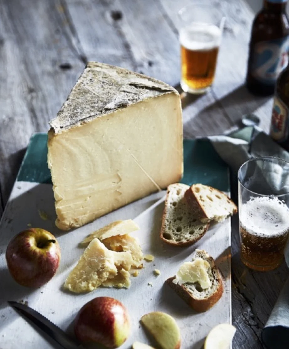 gourmet cheddar.jpg