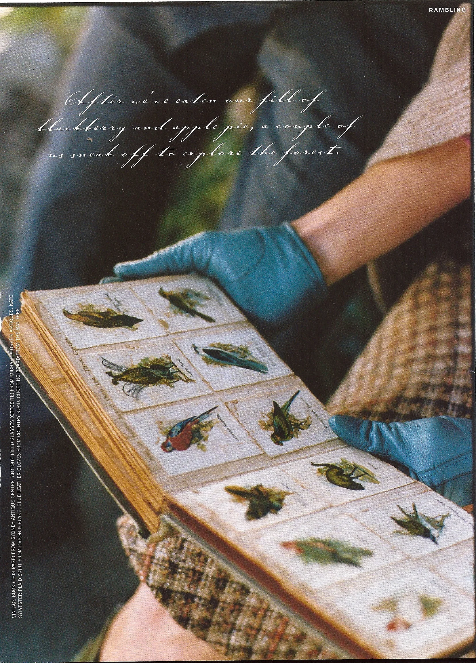 Lifestyle 2 - Donna Hay Magazine.jpg