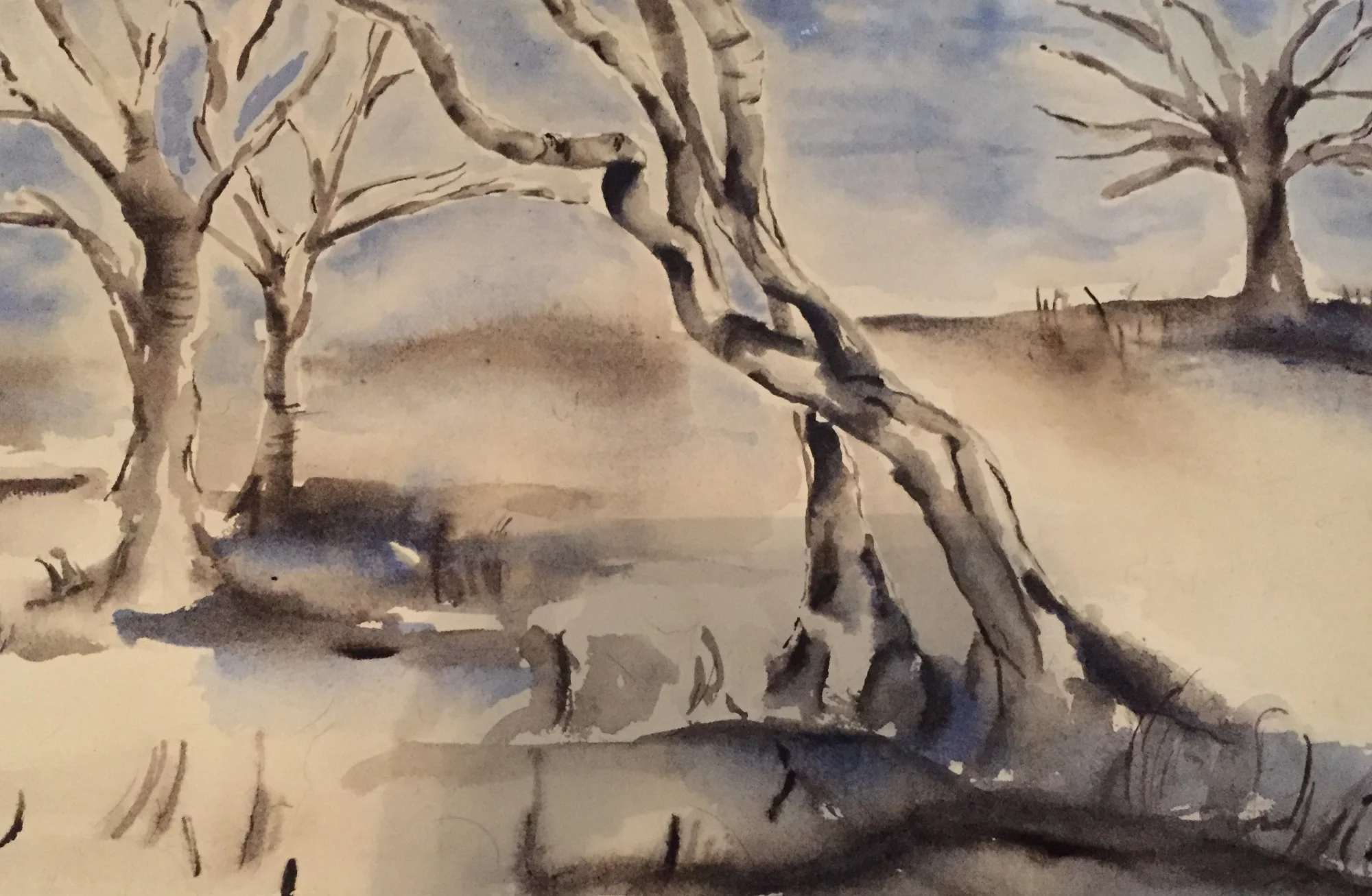 watercolor, 22" x 15", sold