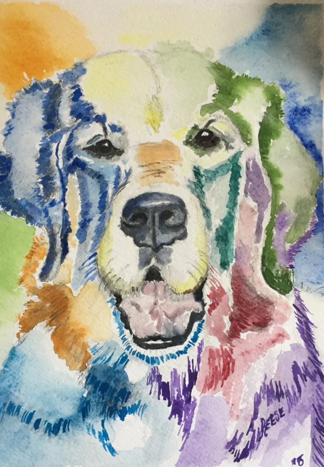 fin, watercolor, 11" x 15", sold