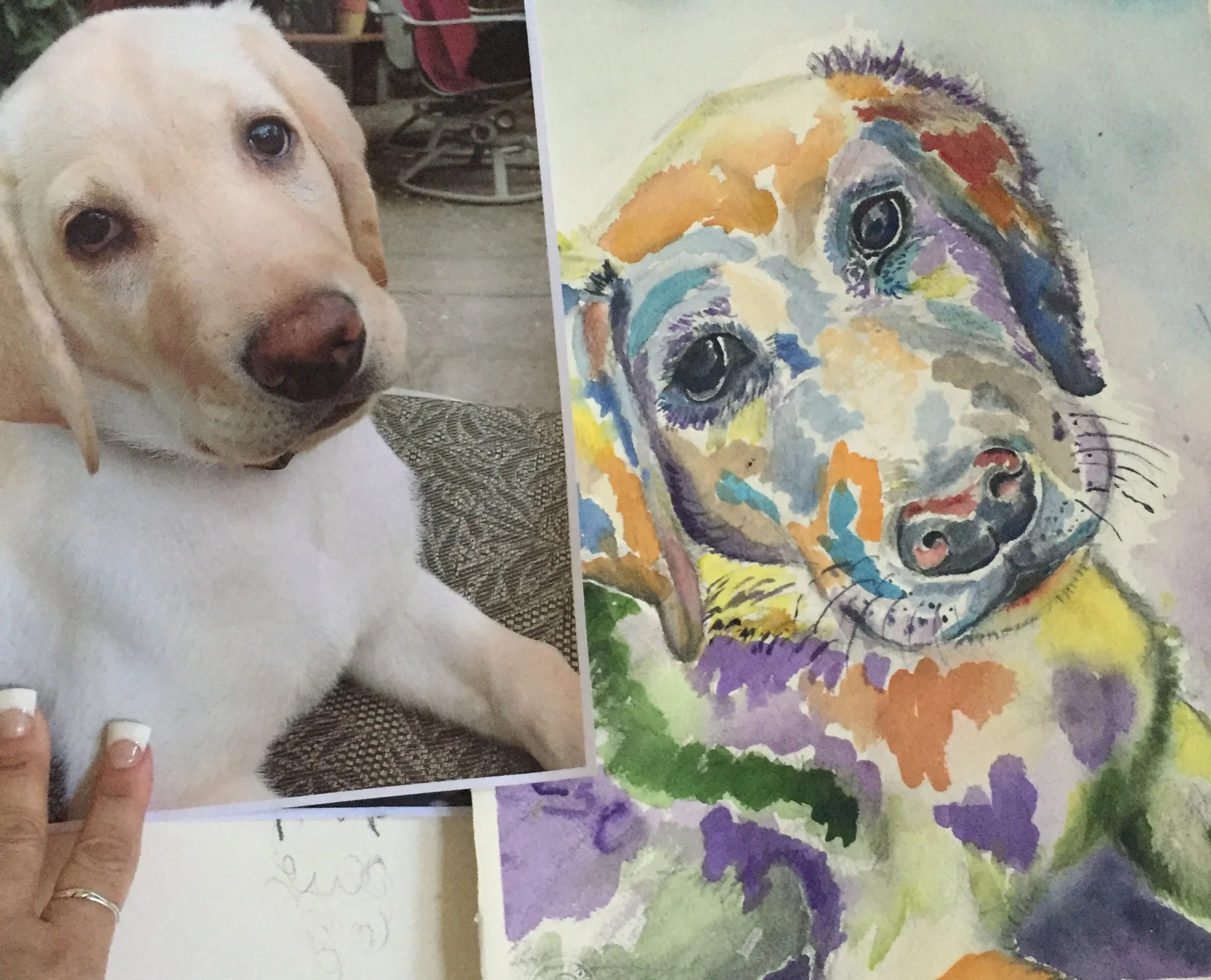 sammie, watercolor, 11" x 15"