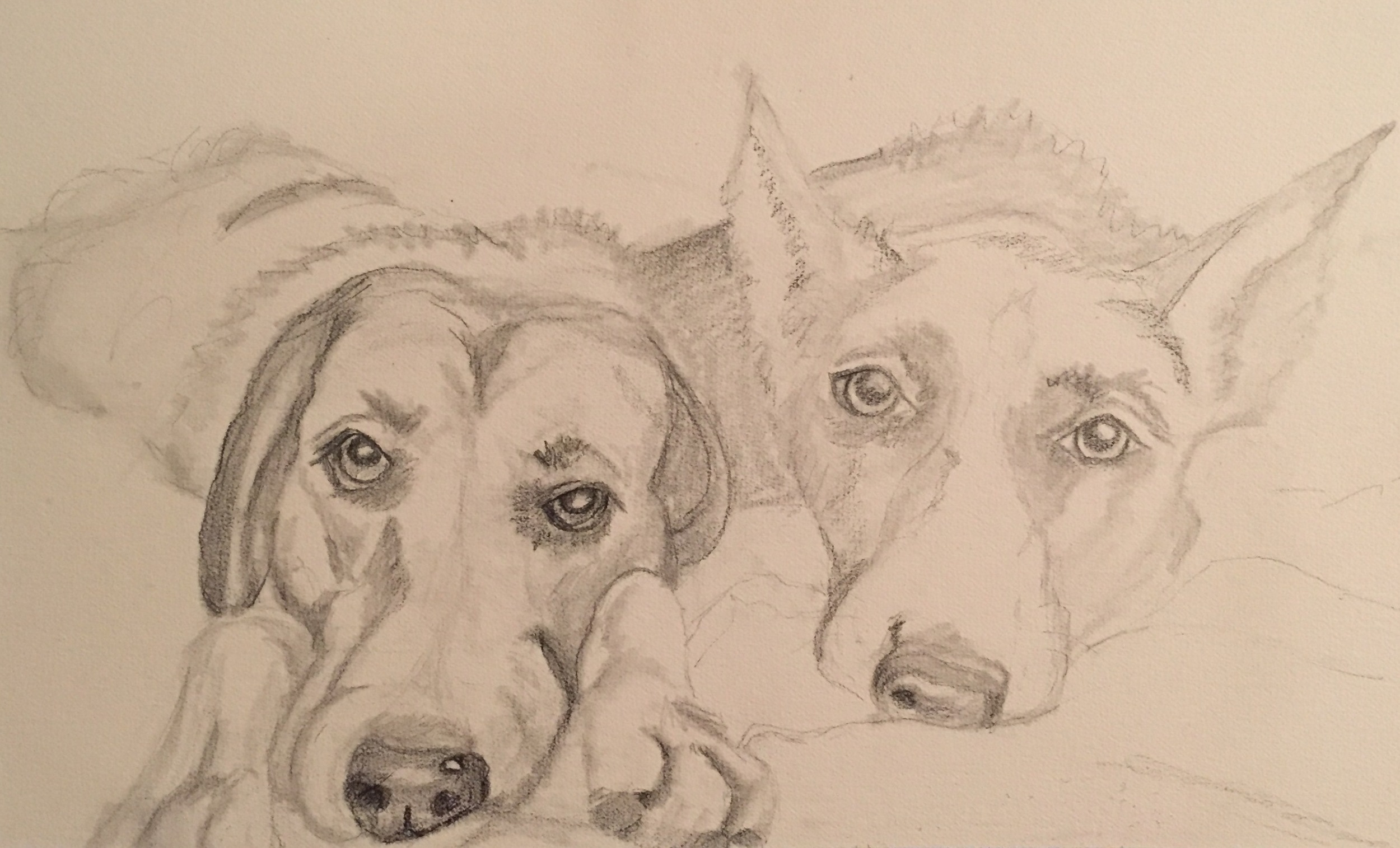 shamus and iris, initial sketch