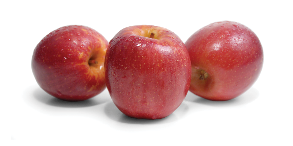 Fuji apples — Auvil Fruit