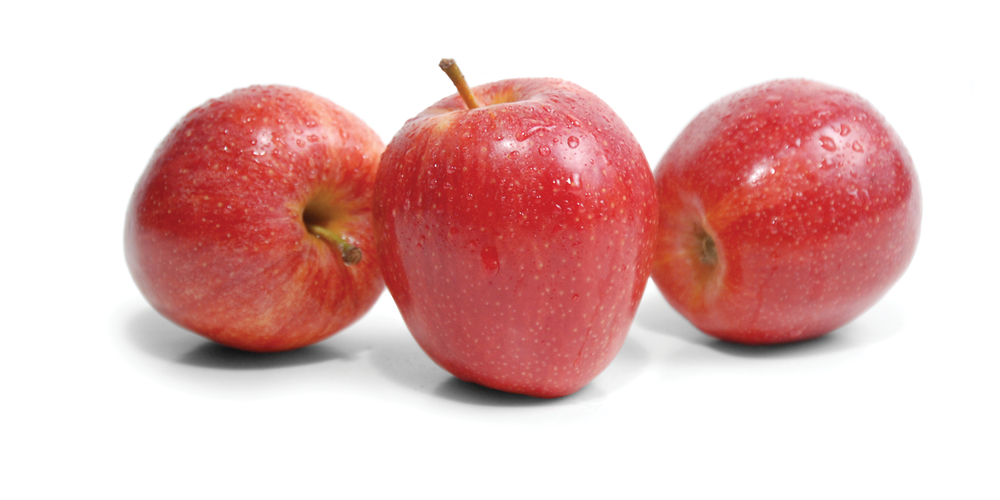 Gala apples — Auvil Fruit