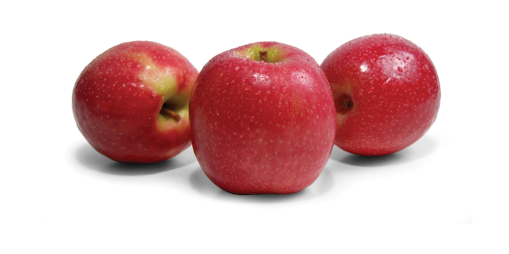 Pink Lady apples — Auvil Fruit
