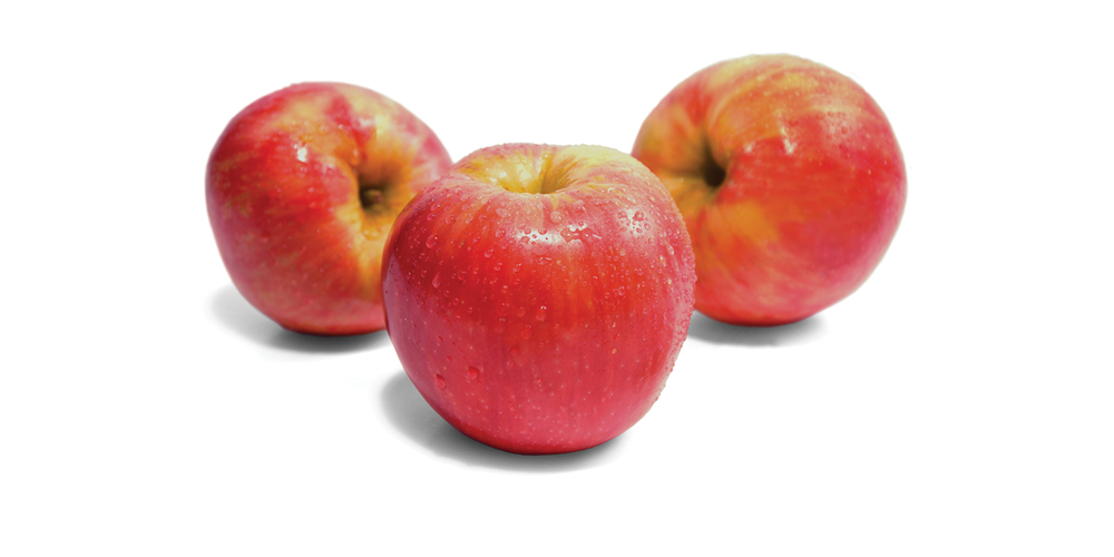 Honeycrisp apples — Auvil Fruit