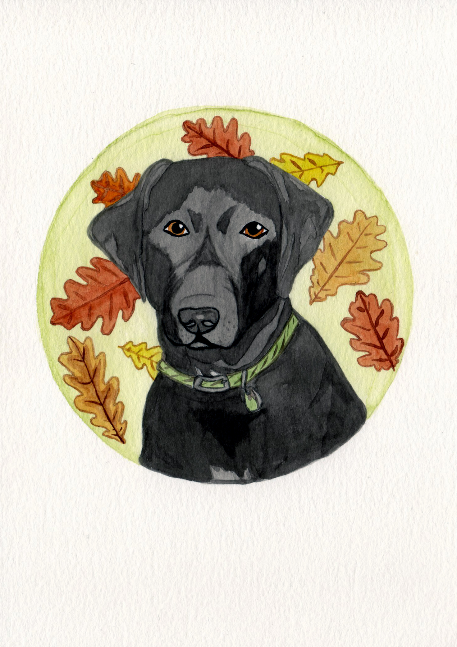 pet portrait commission, 2017