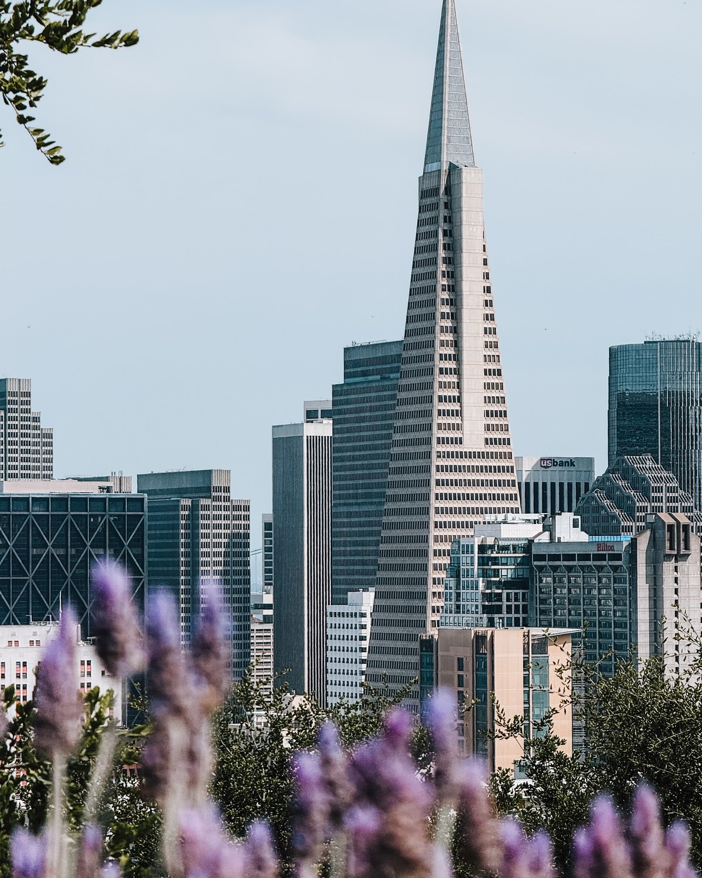 Spring in the city. 🌁