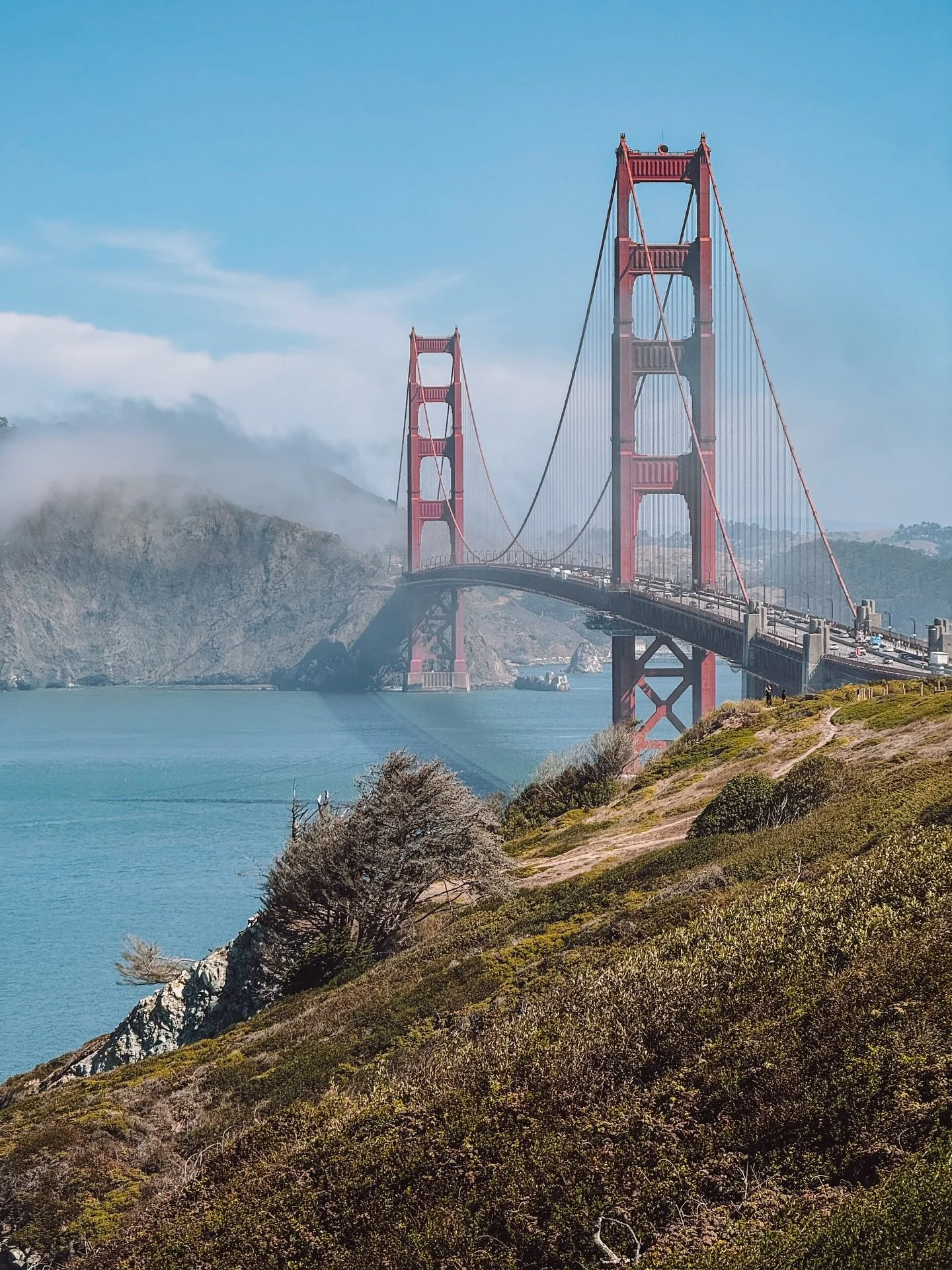 I have to confess&hellip;I&rsquo;ve been more of a homebody lately&hellip;. 🌁