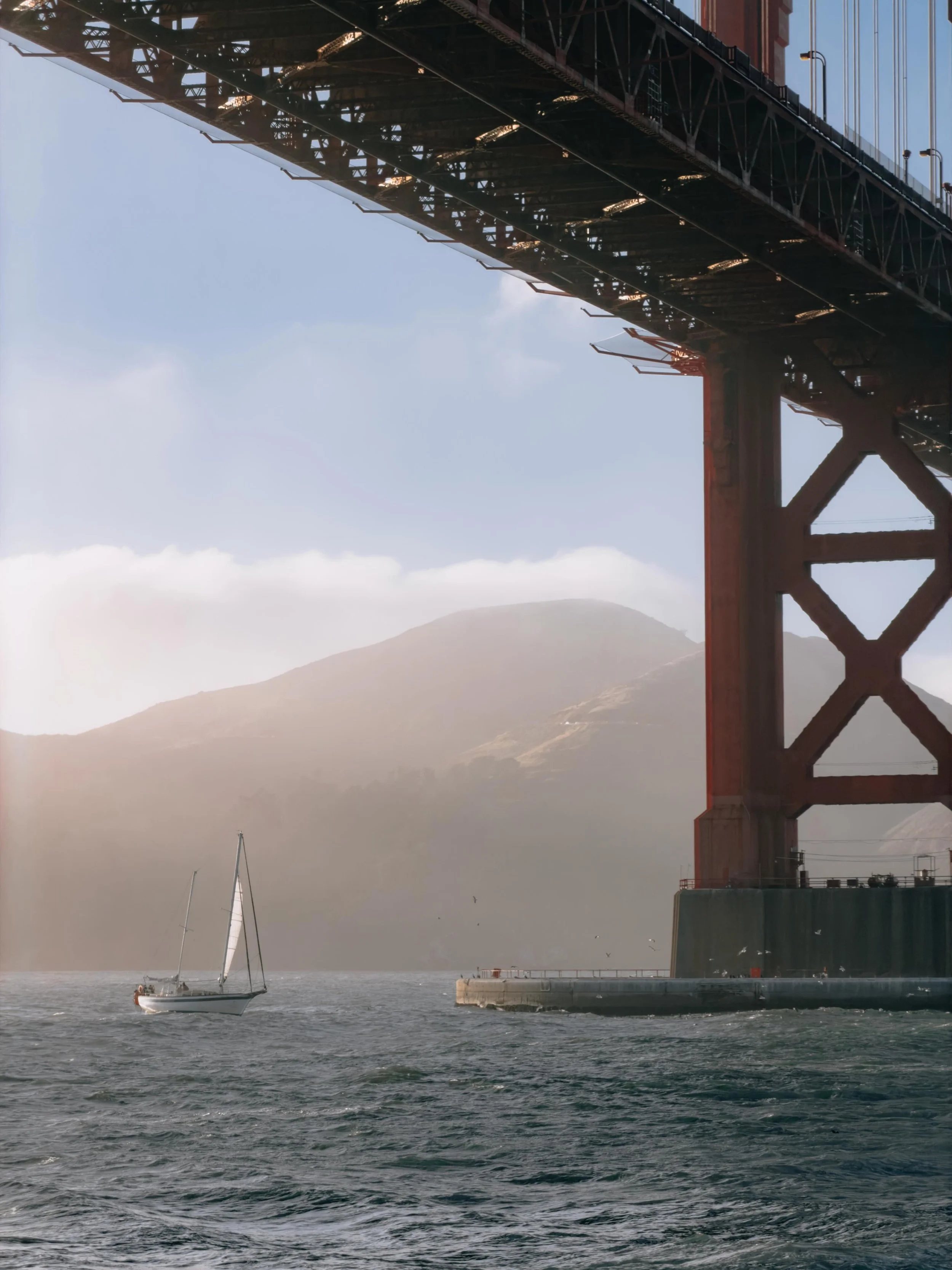 The days are long; the air, thick with anticipation. On the hilltops, the marine layer hangs, inching closer with each passing day. 

It&rsquo;s late spring in San Francisco, and winter is not far away.