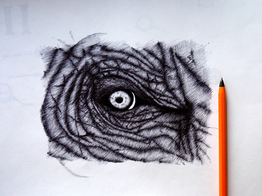 Elephant-Eye.jpg