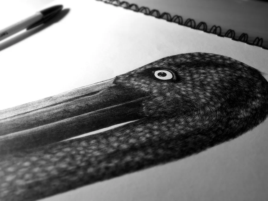 Jabiru-Detail.jpg