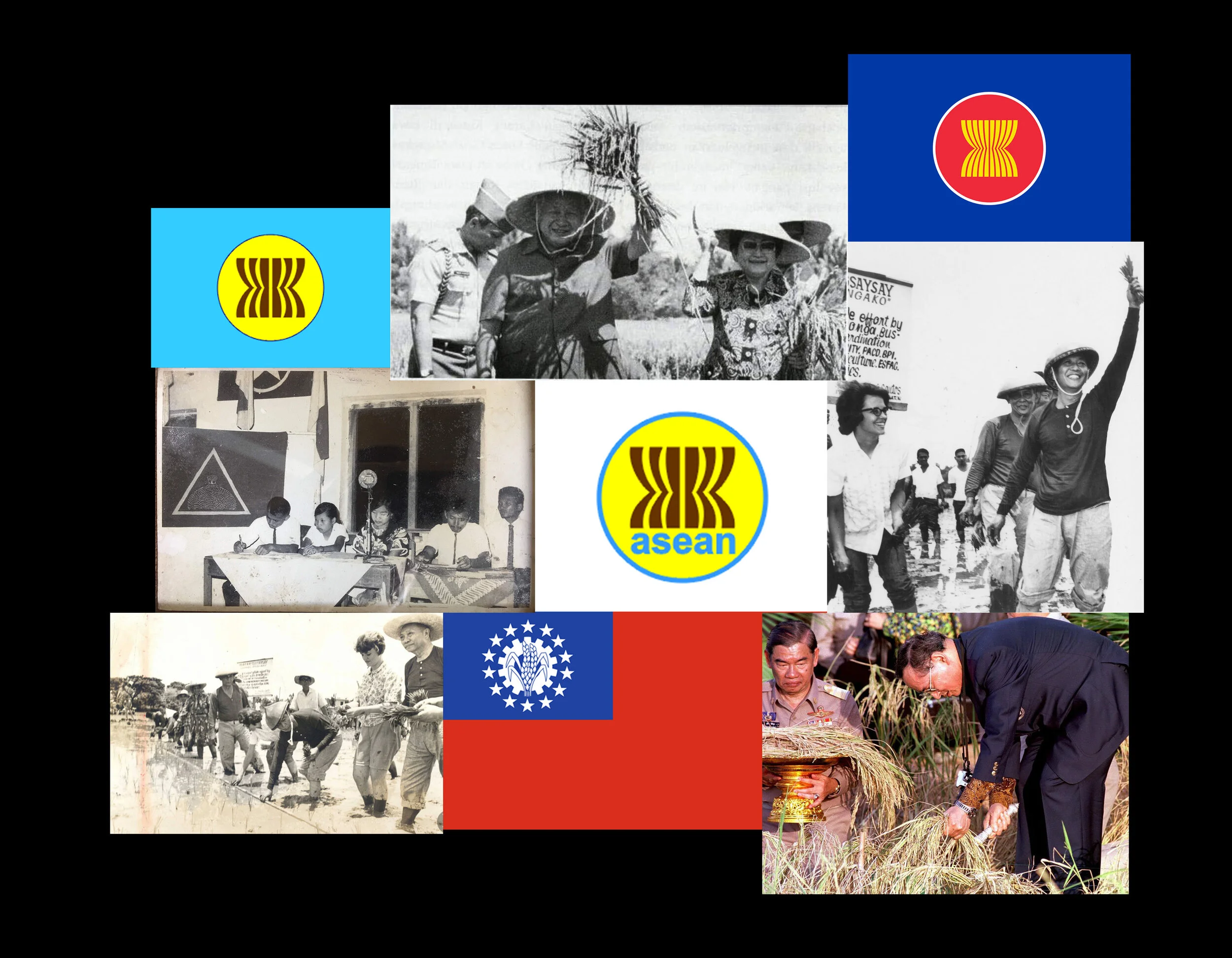 Withering Rice, Flourishing Sovereignty