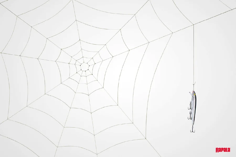 "Spider Web" Poster