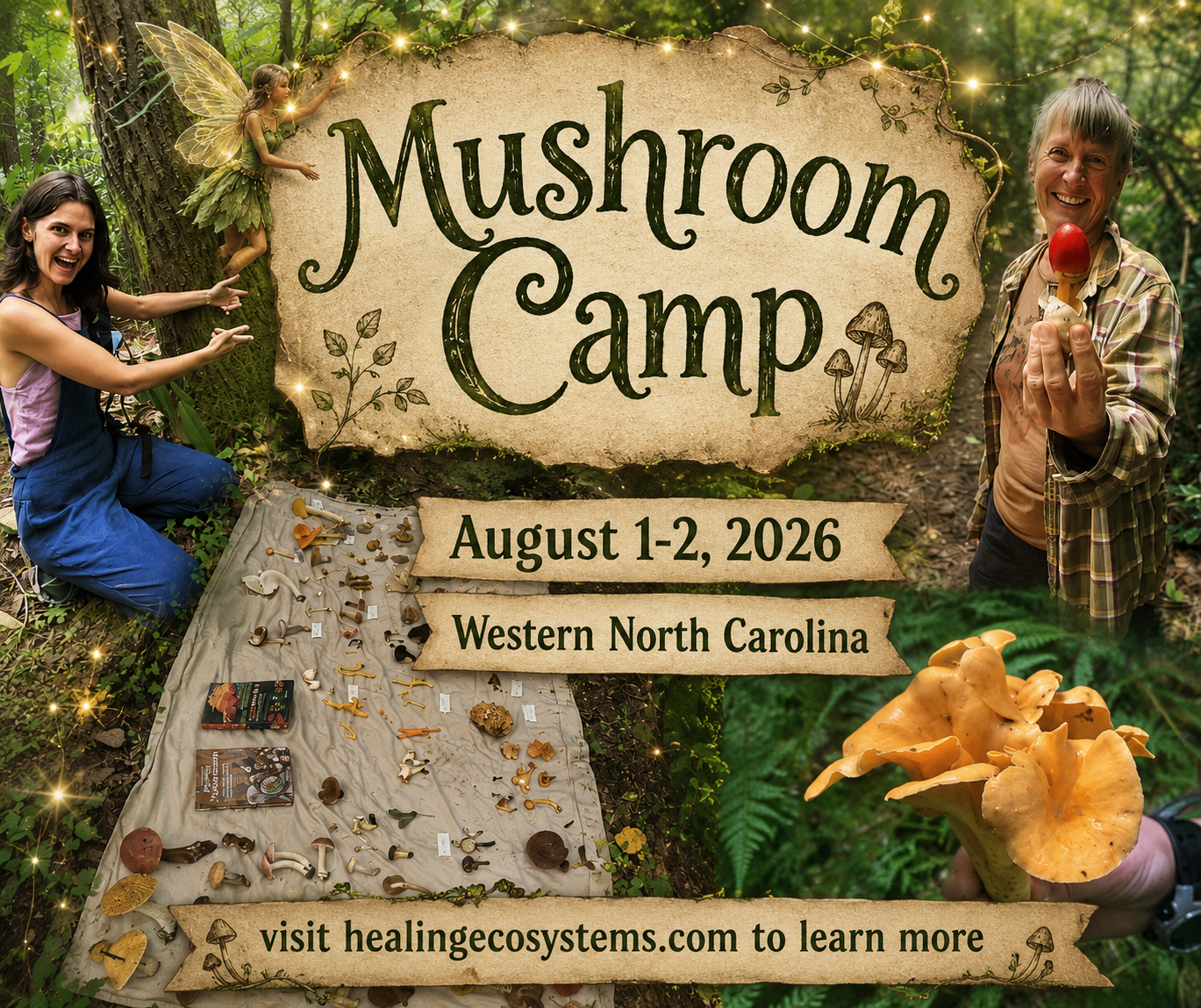 Mushroom Camp