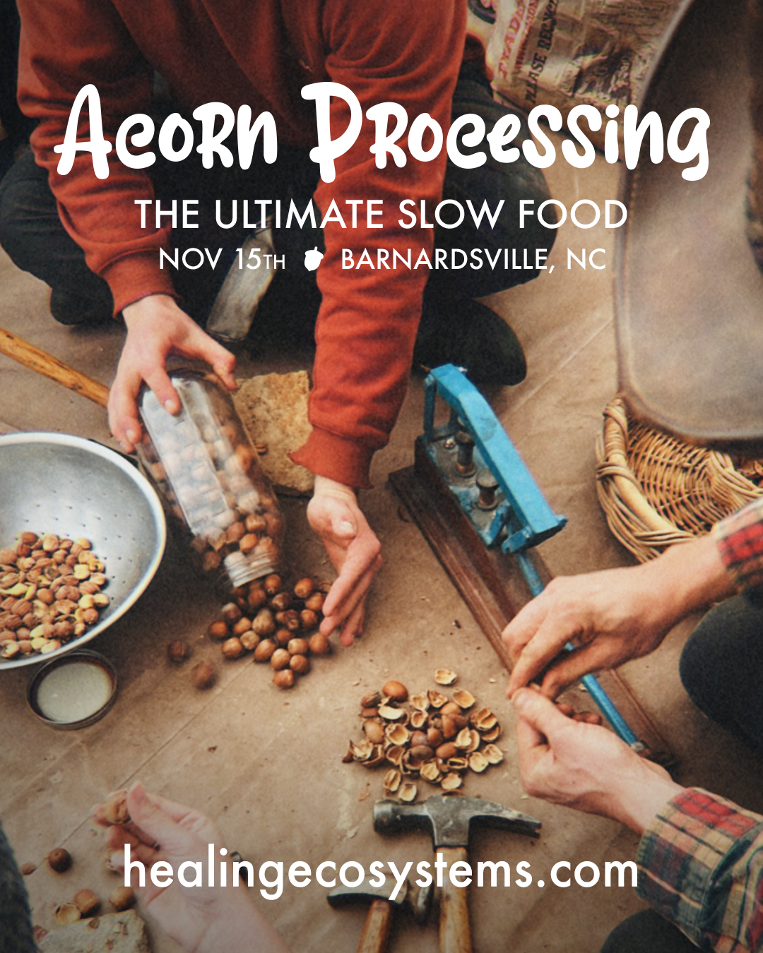 Acorn Processing: Fall Immersion (November 15th, 2026)