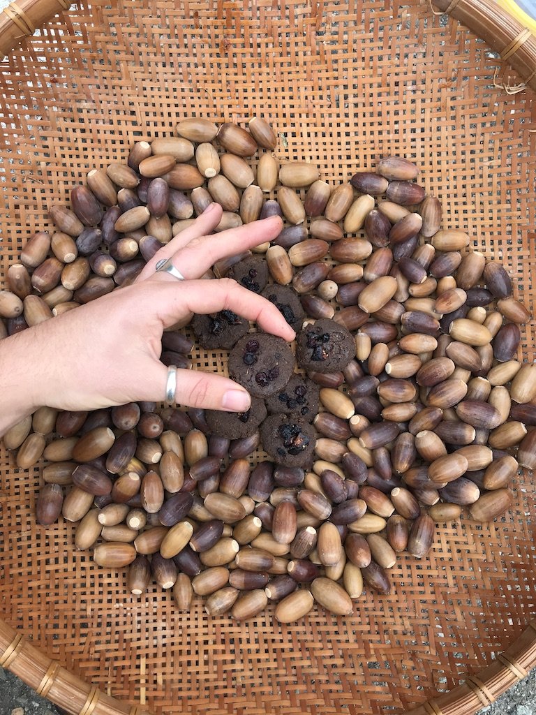 Ruthie Acorn.JPG
