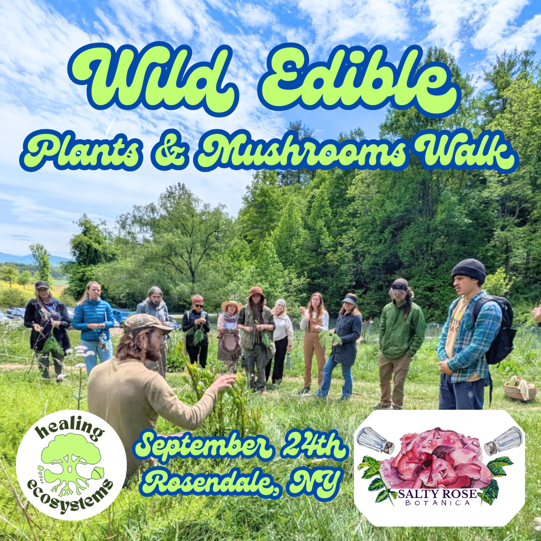 Wild Edible Plants & Mushrooms Walk