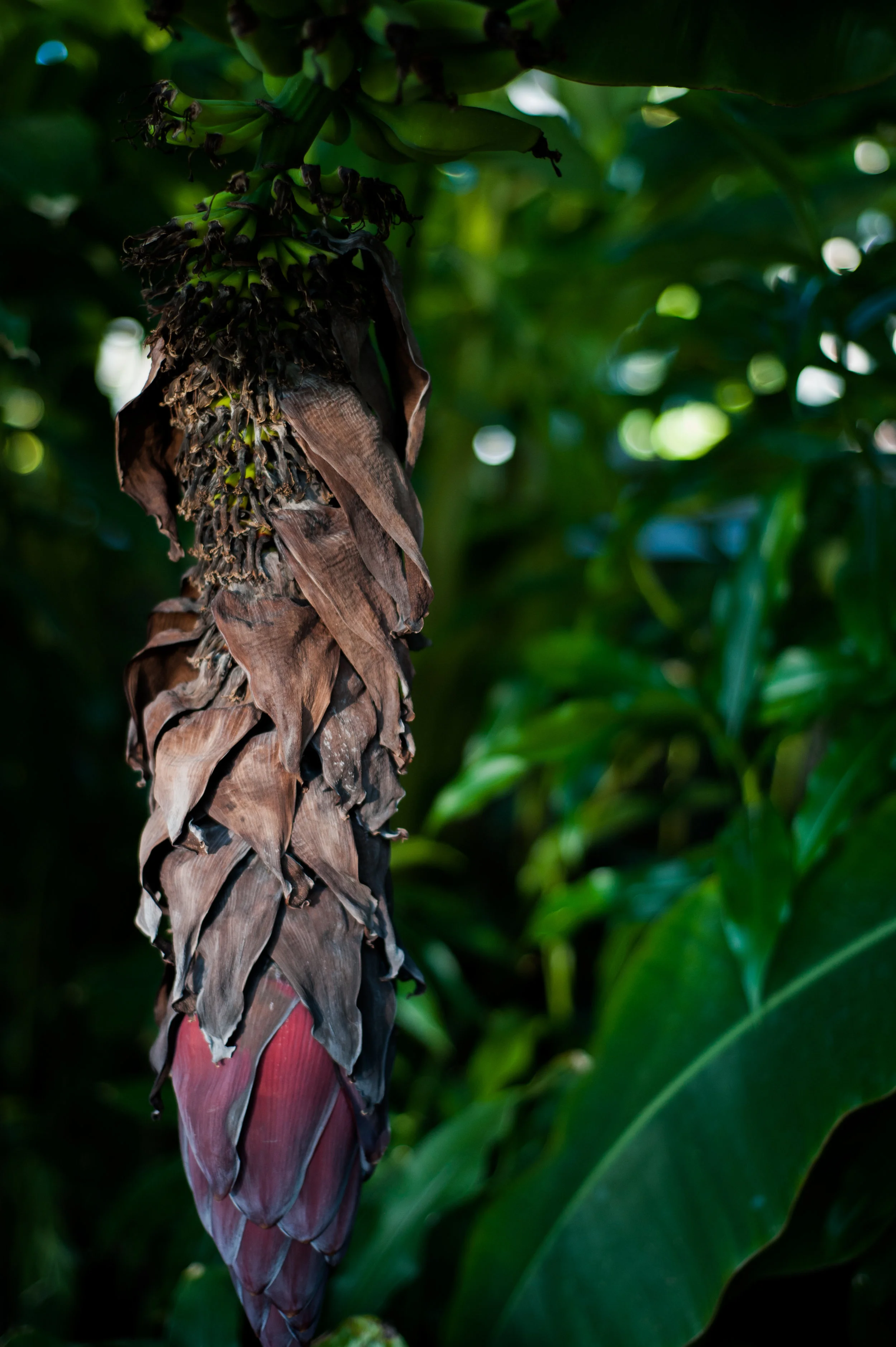 DSC_8839.jpg