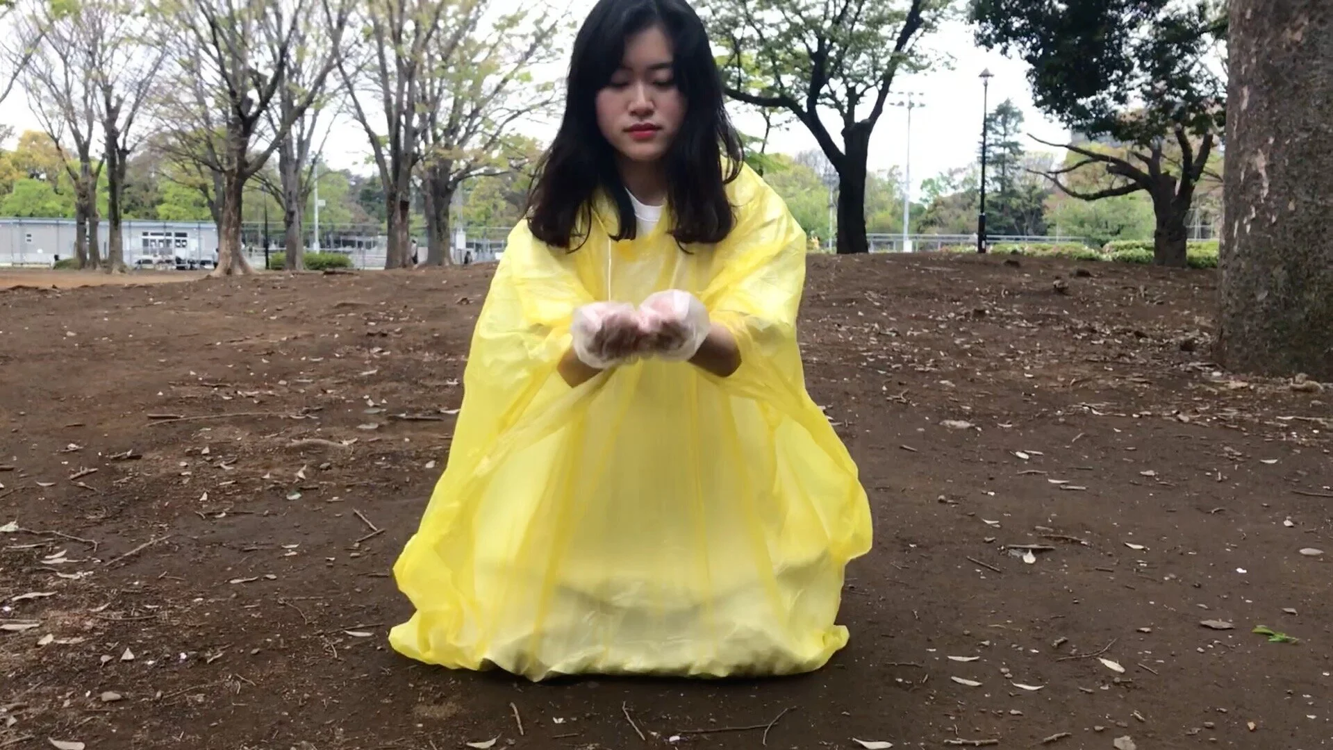 Society for Photographic Education MEDIA FEST 21