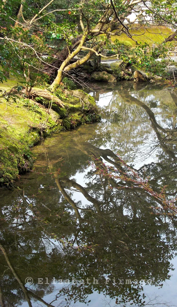 Tree Reflection