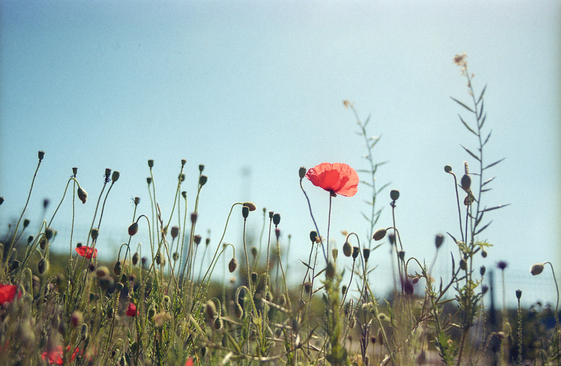 Img3357.jpg