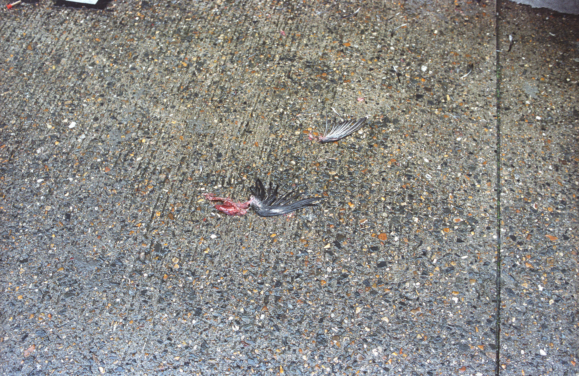 Img2786.jpg