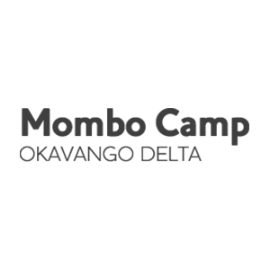 MomboCamp.jpg