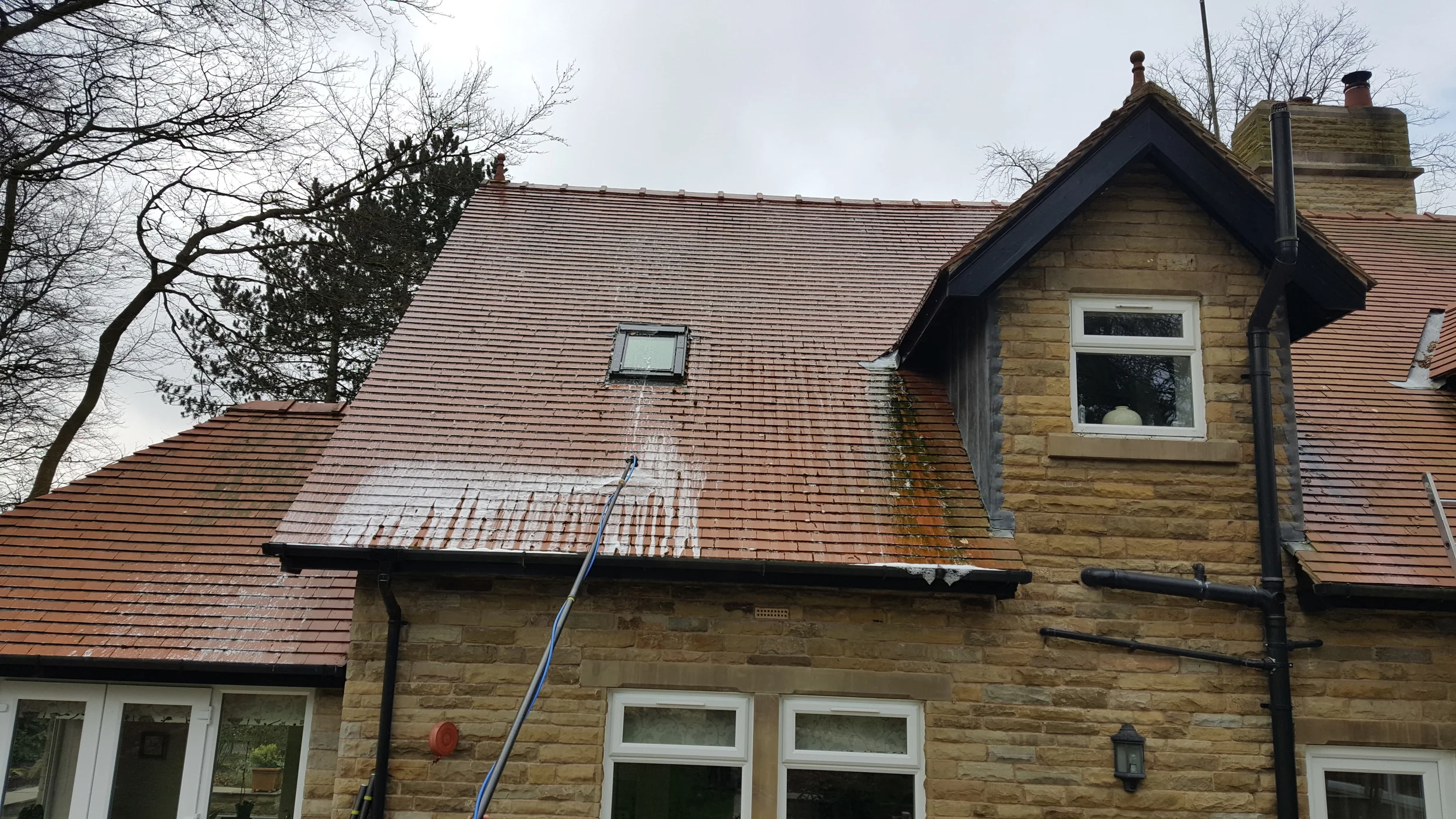 Red clay tile roof on a 4 year old detached property in Withnell near Chorley. Prolific green algae growth all over. During Softwash treatment.