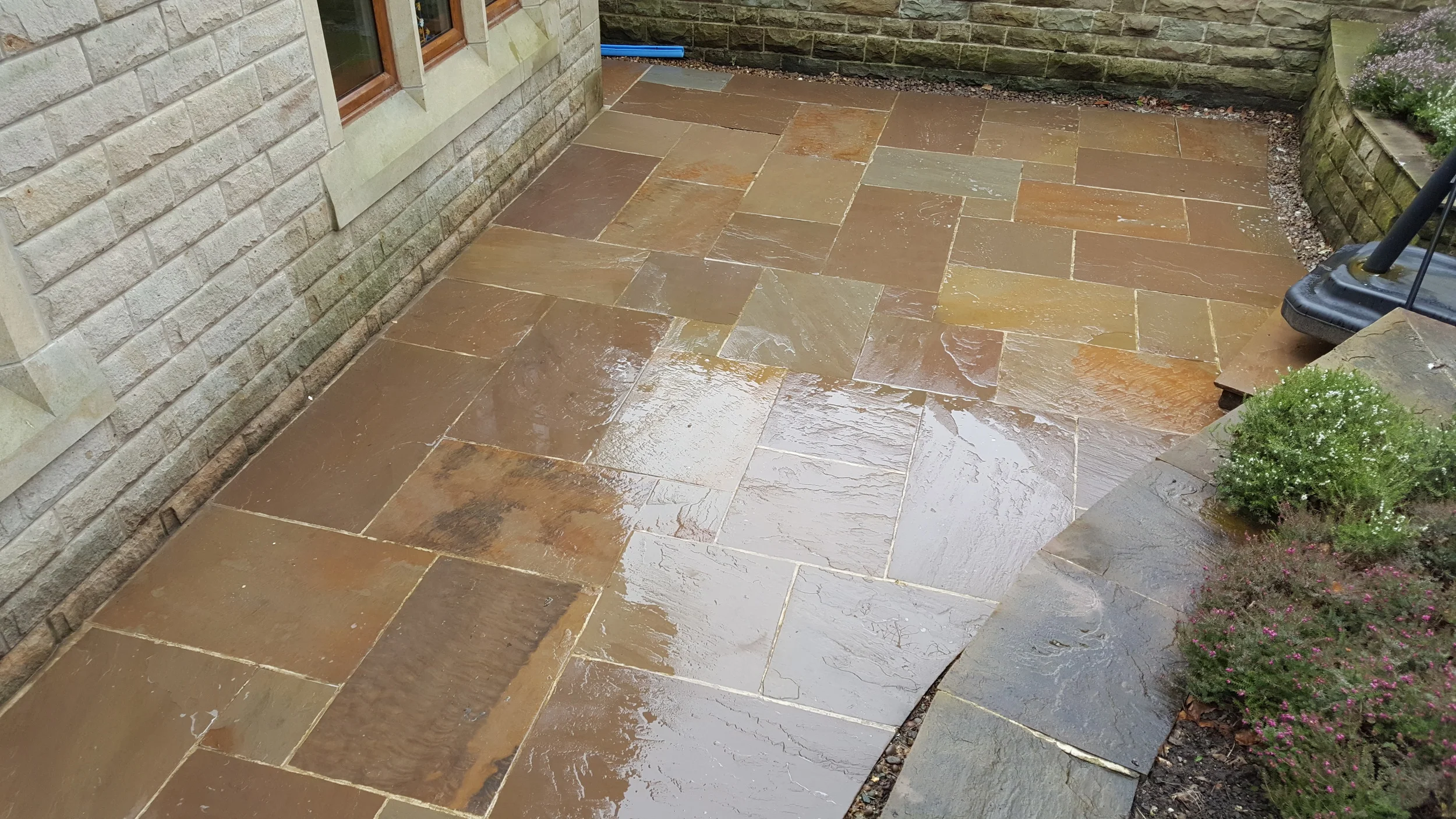 Detached property in Rawtenstall. Indian stone flagging heavily covered with green algae, immediately after Softwash treatment.