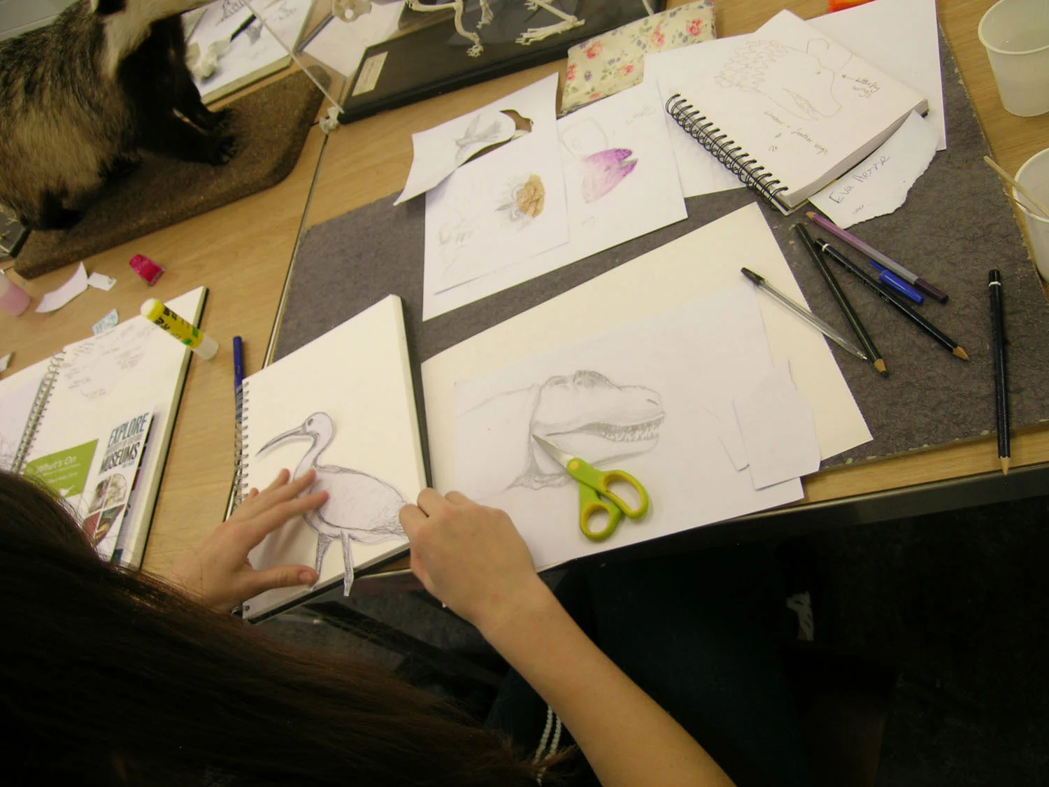 Every Picture Tells A Story