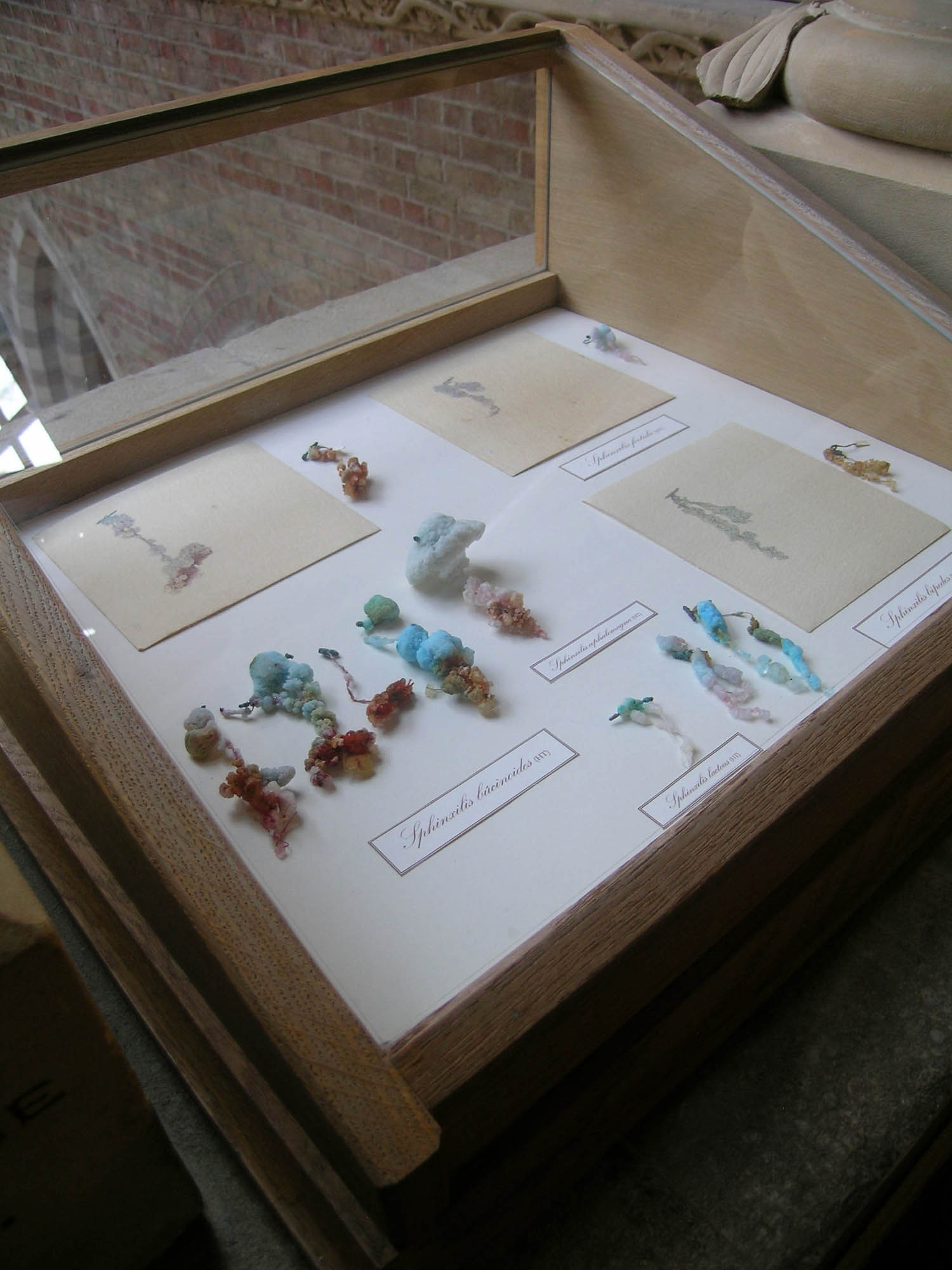 Harold Thomas Collection