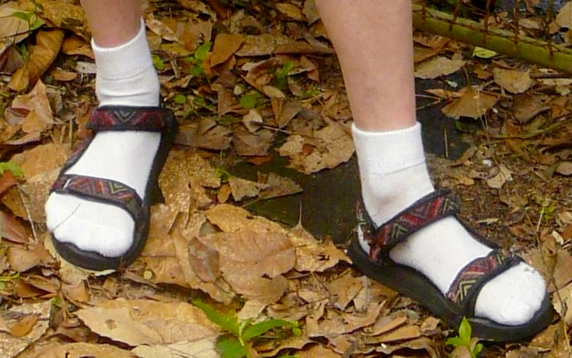  Socks and Sandals - weird, or just plain wrong? Photograph: Wikipedia