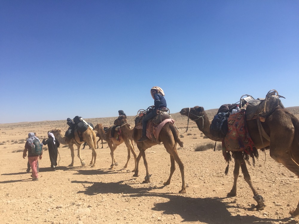 The journey from Ezuz to Mitzpeh Ramon Photo by Andy Teirstein
