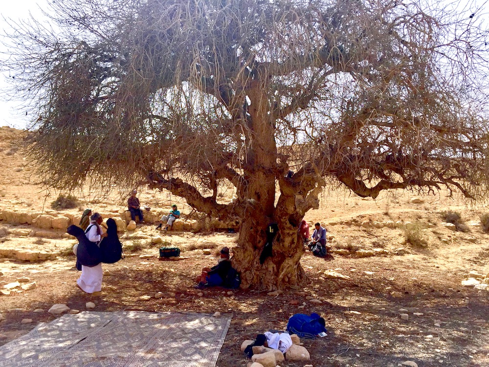 A break in the hike Photo by Andy Teirstein