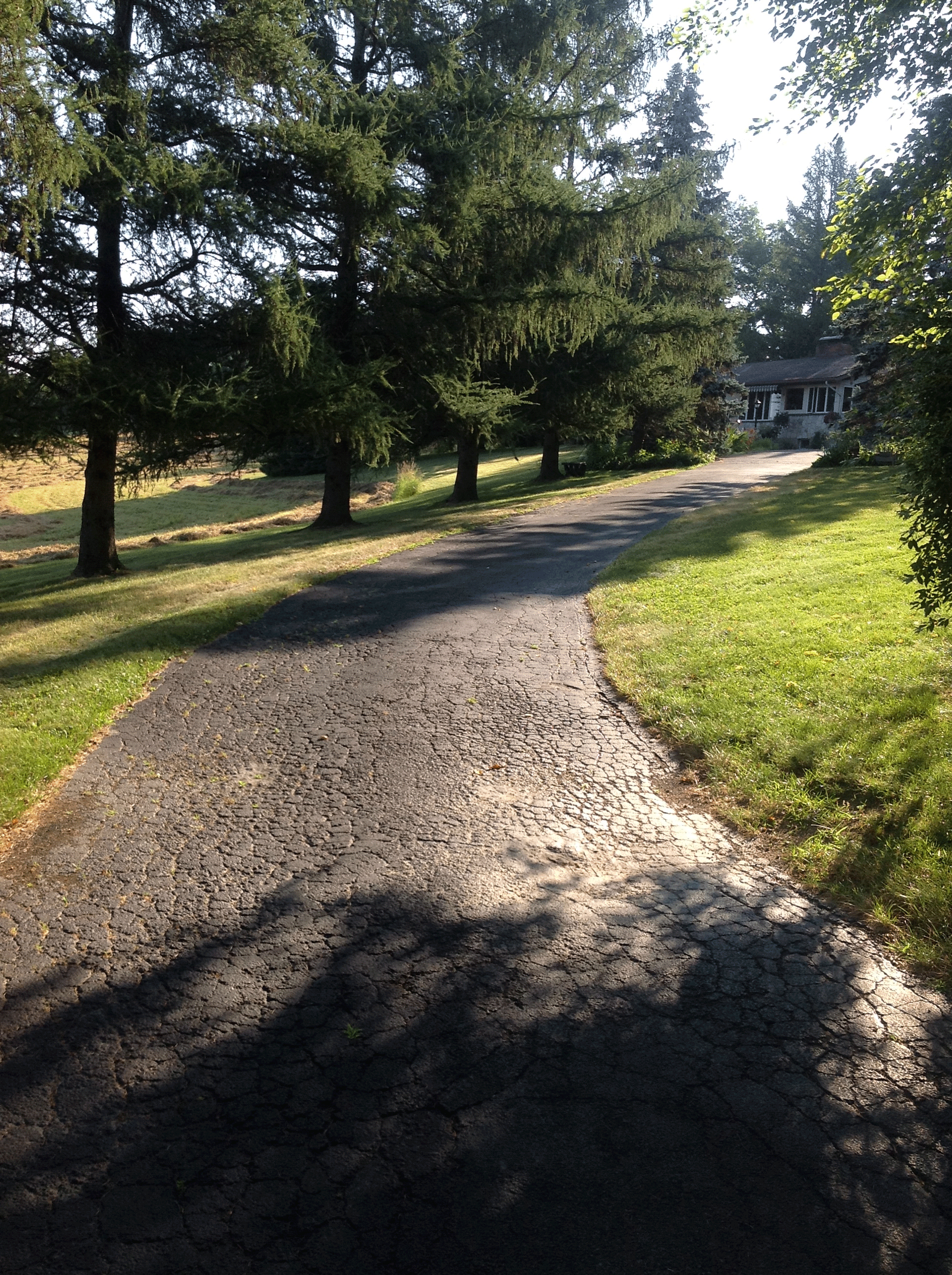 malloygardensroad.gif