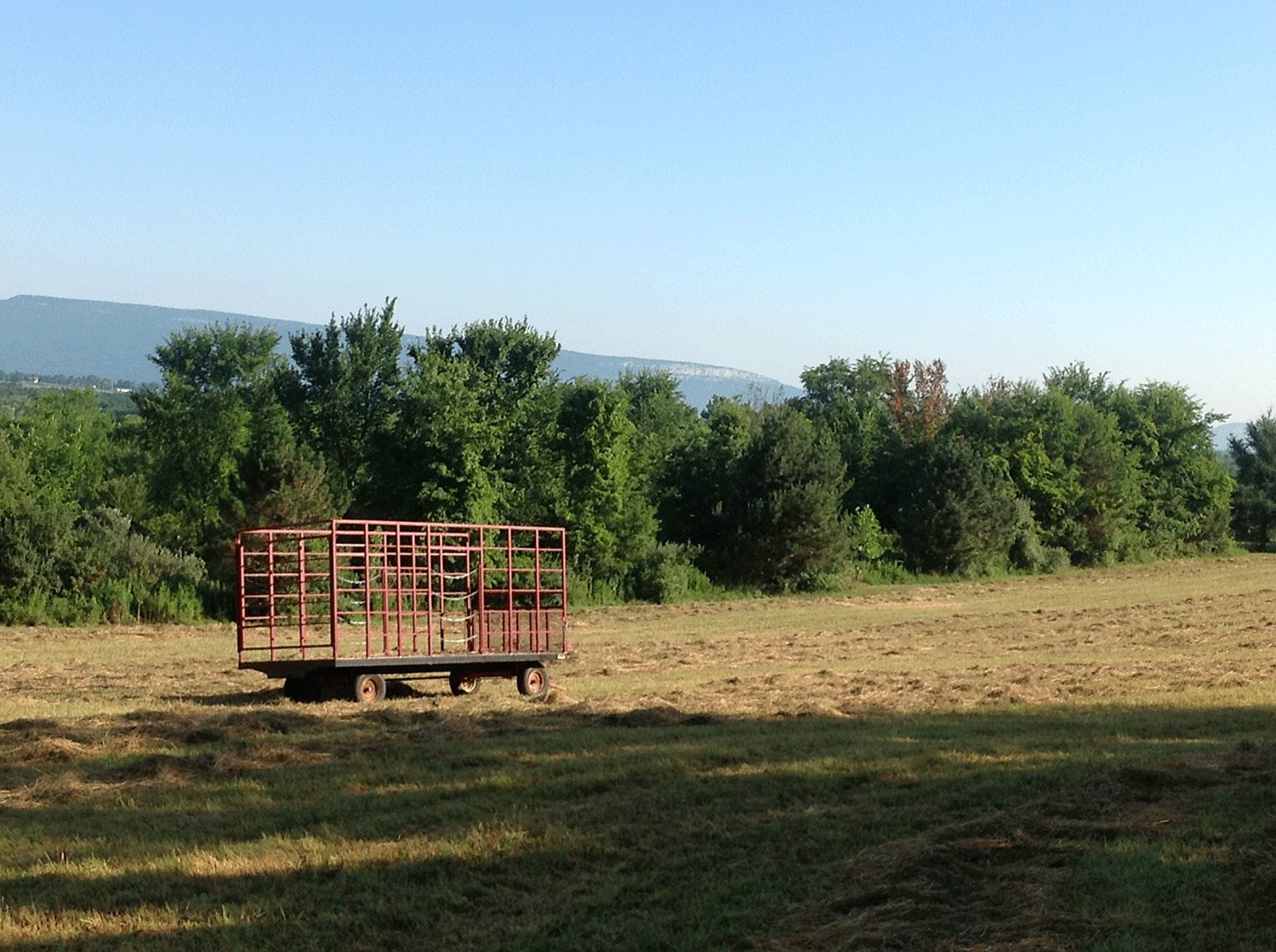 hay-harvest-spotted.gif