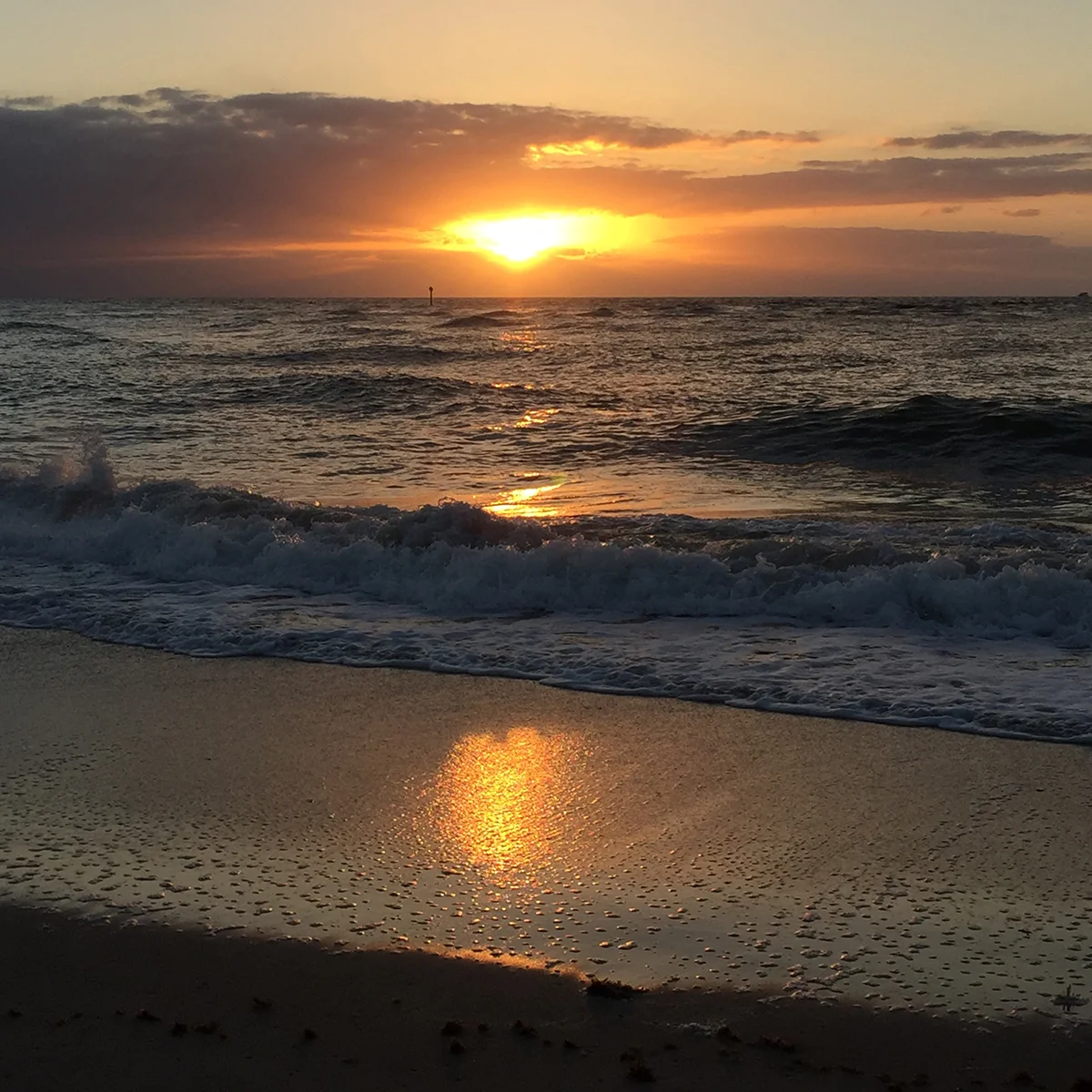 Photograph by Barb Wibling