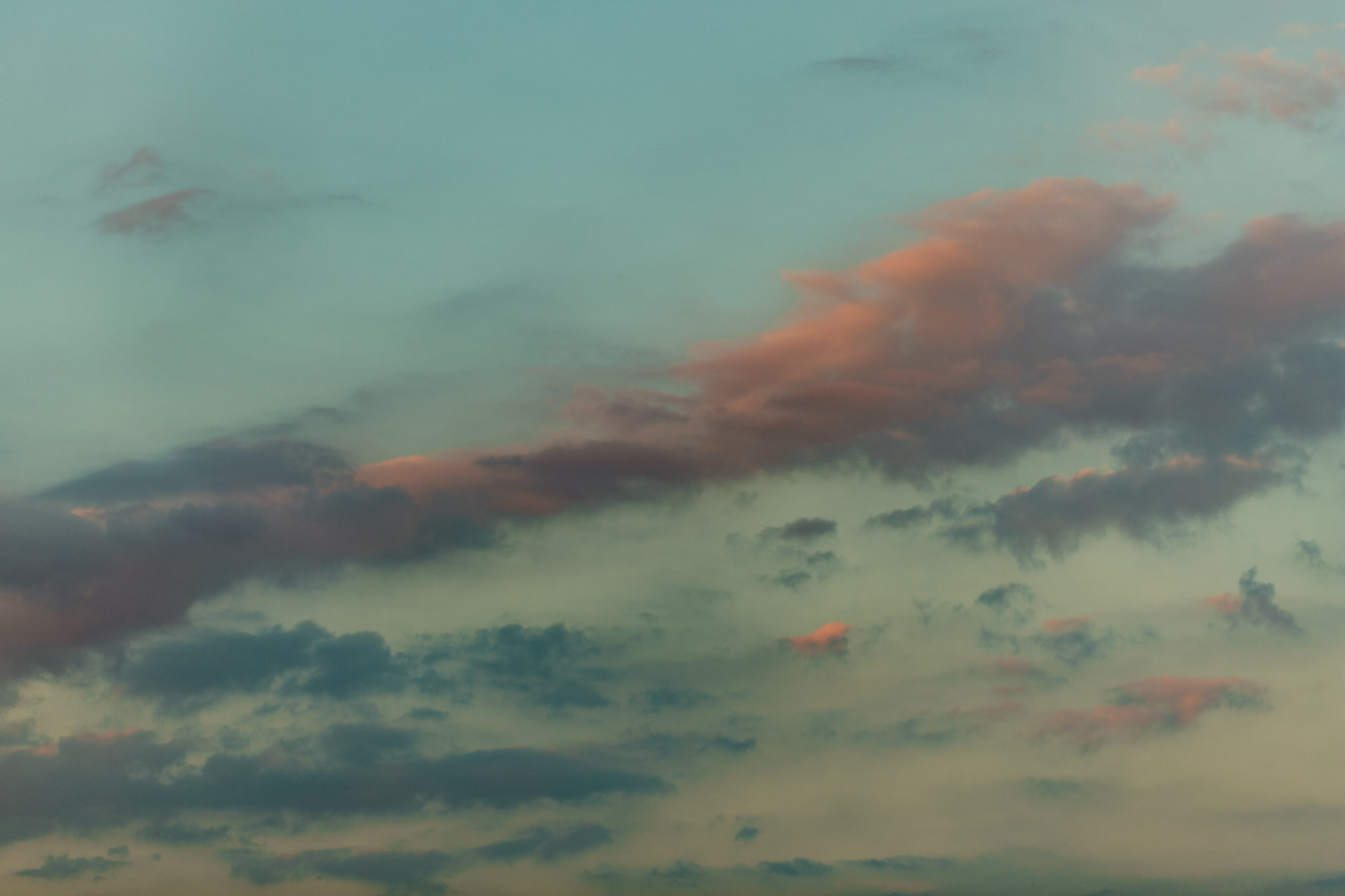 B65A0716-7.jpg