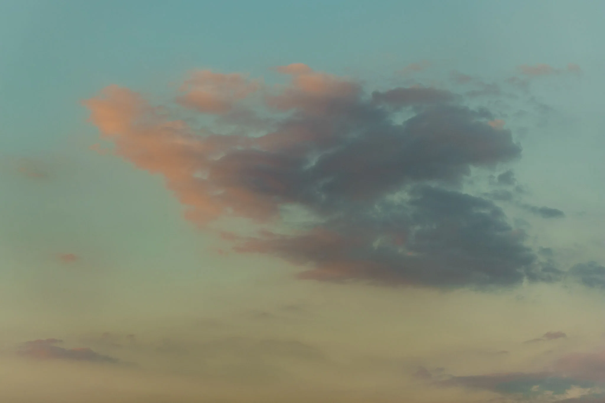 B65A0715-6.jpg