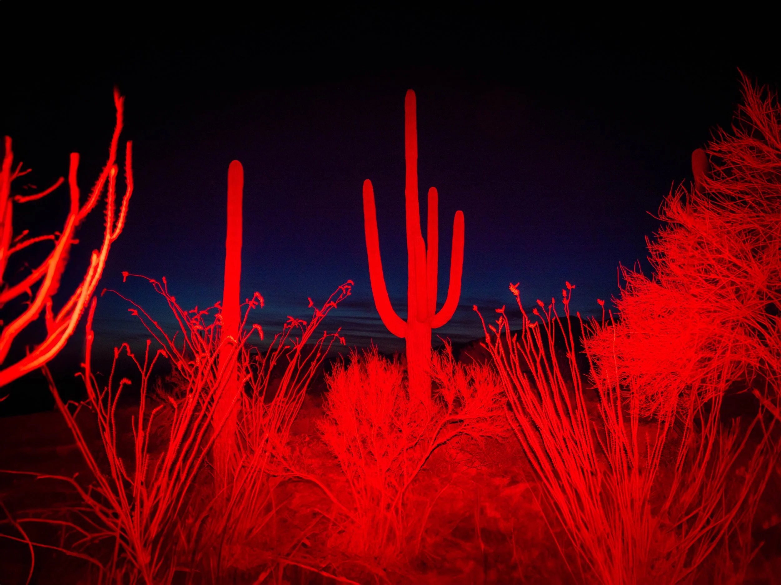IMG_6080-Edit.jpg