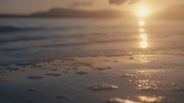 SotS 2.gif