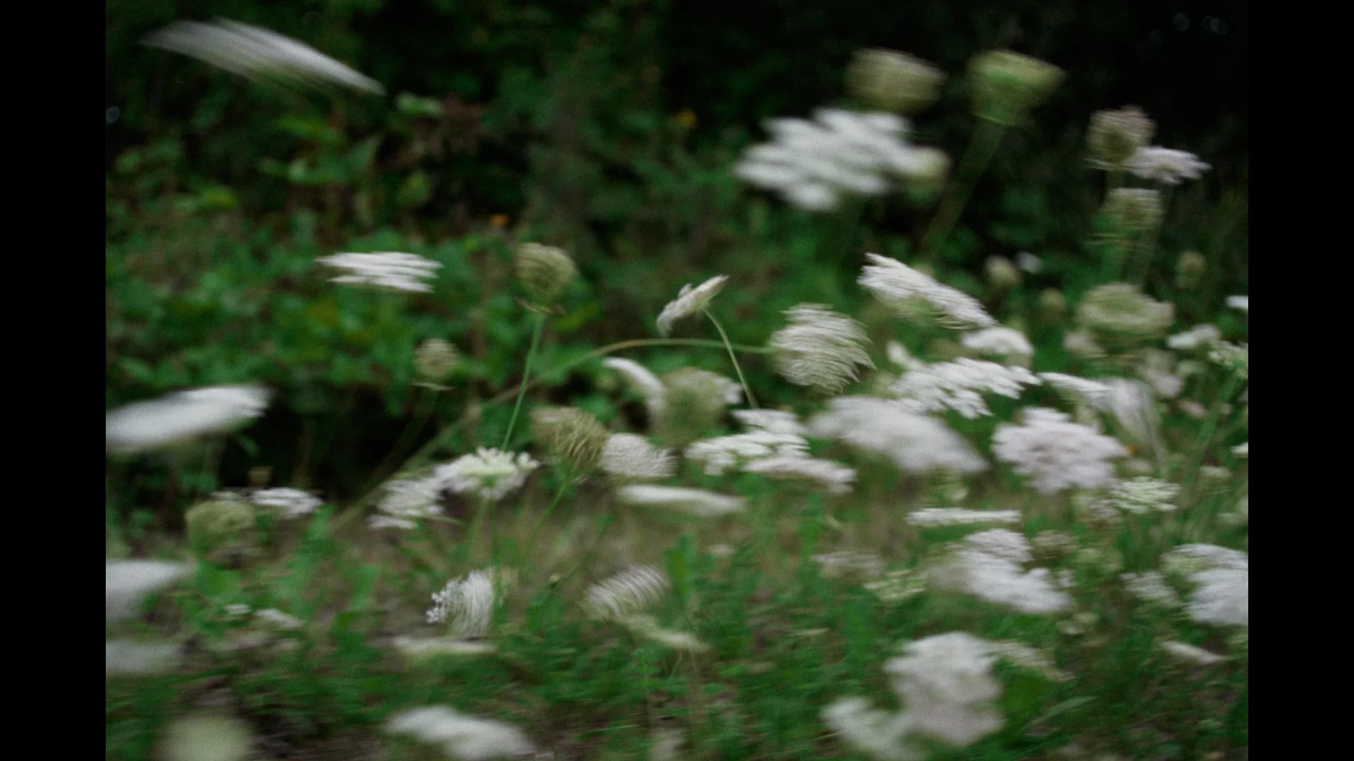 JOINT DC.00_01_27_02.Still056.jpg