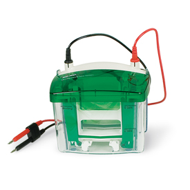 Mini Prean Tetra Device