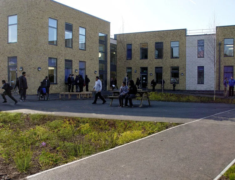 Lizard Landscape Design and Ecology