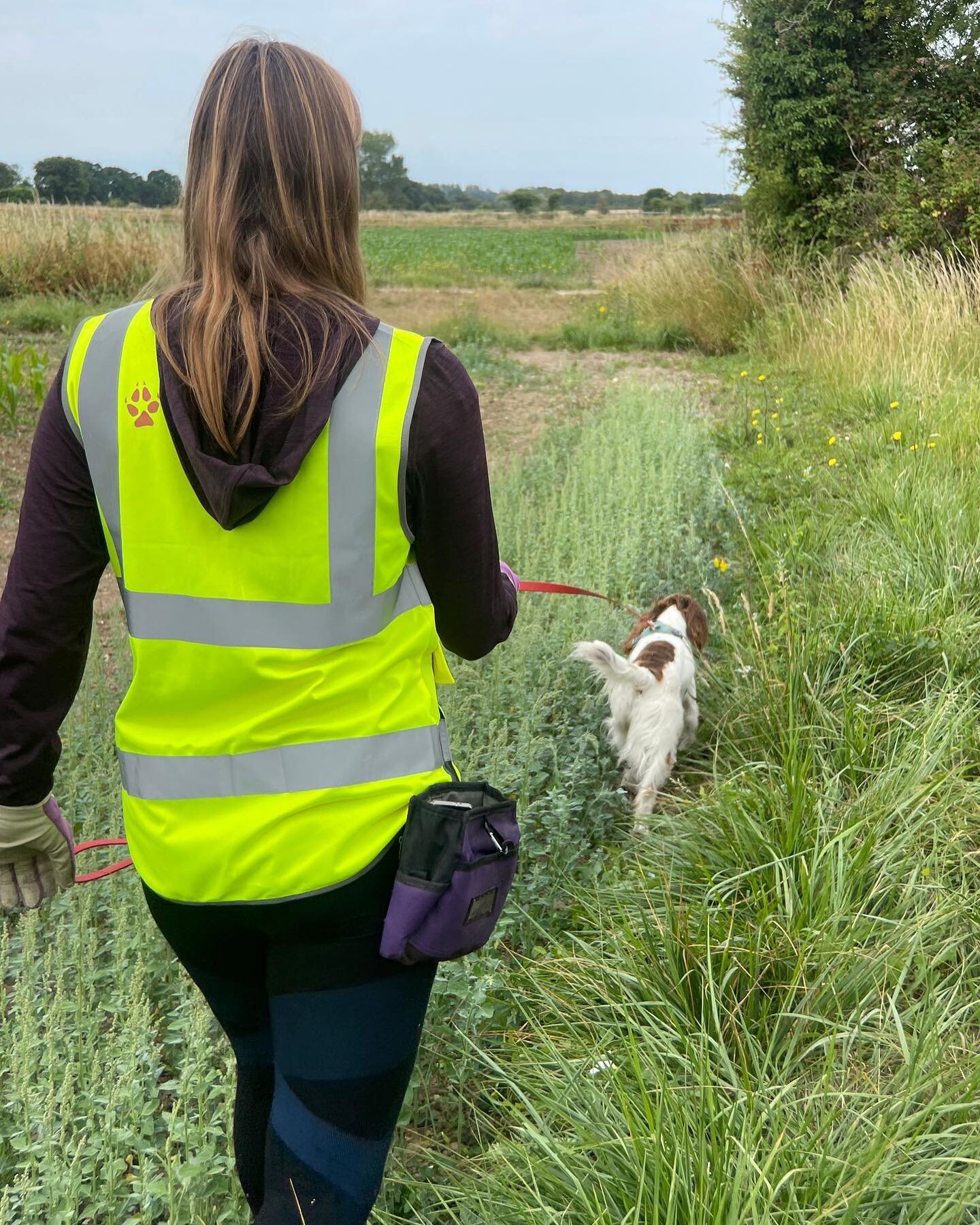 Introducing Emily and @montyandpip_conservationdogs who helped us on a recent Water vole survey. 

Research shows that dogs can be far more effective than human-only search teams, especially on sites that are difficult to access. 

It was the second 