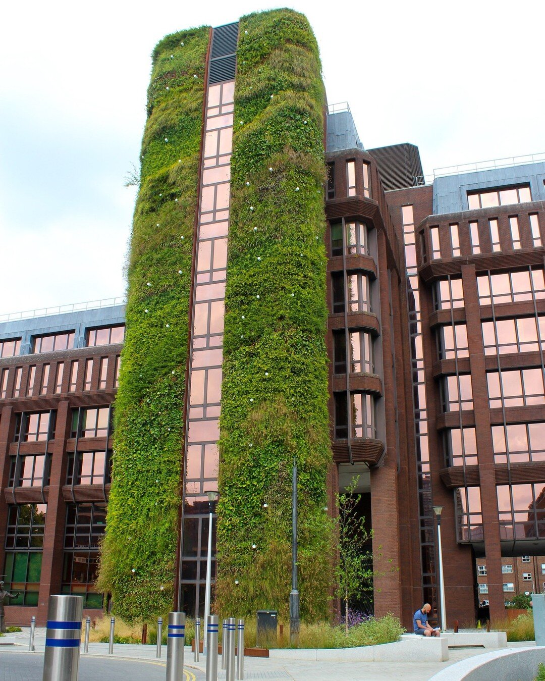 Dukes Court, Woking. 3 of 3

The proposal provided Dukes Court with a highly visual commercially branded identity through the installation of a significant feature green wall system. Whilst also providing numerous environmental, economic, and social 