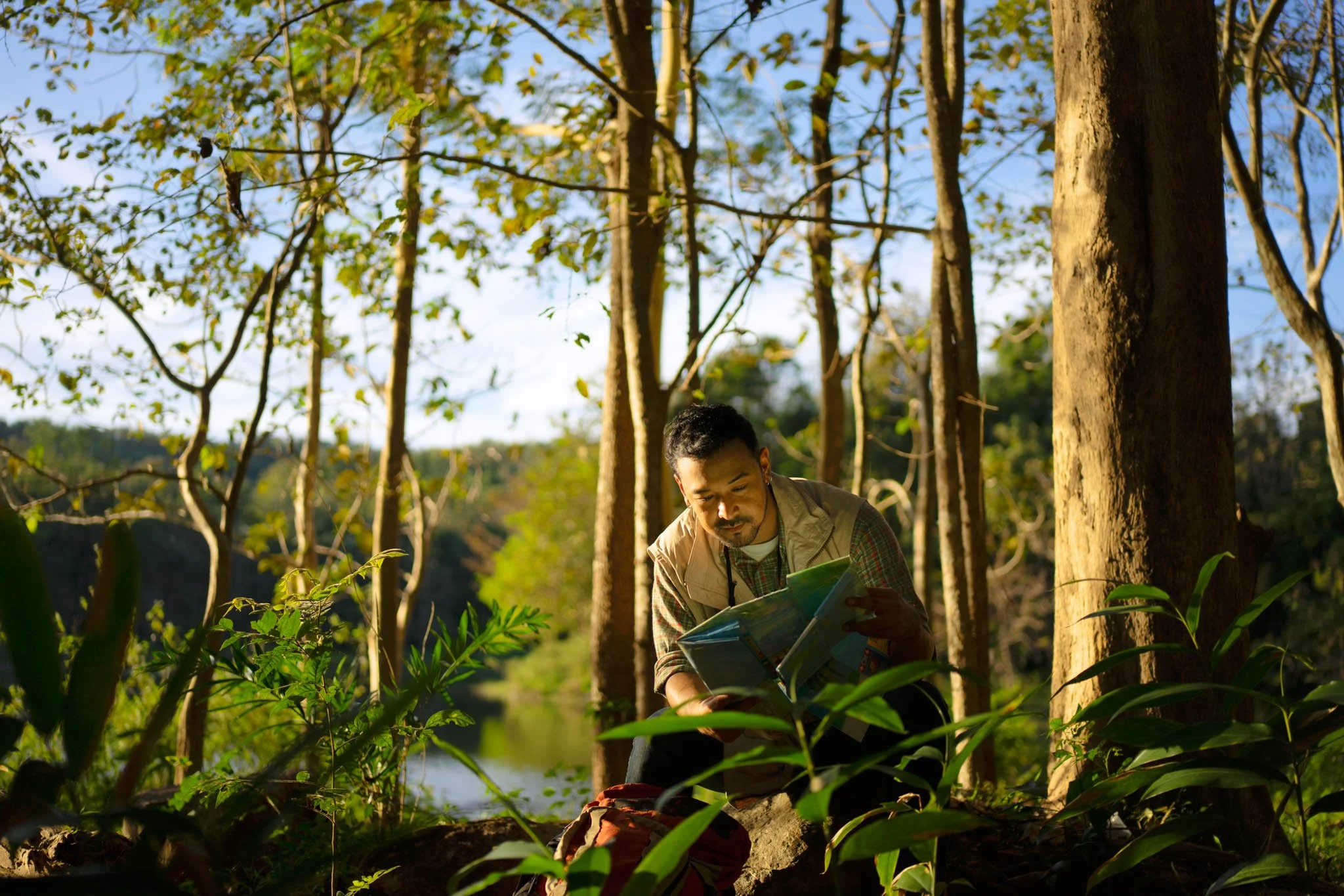 The Many Benefits of Carrying Out Tree Surveys: What You Need to Know